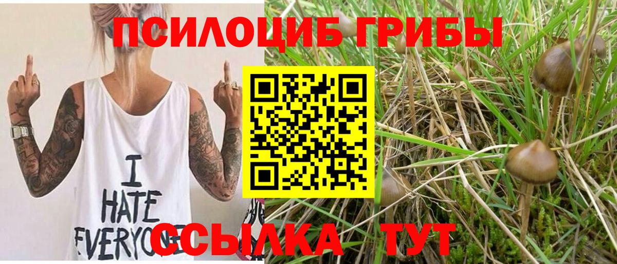Галлюциногенные грибы GOLDEN TEACHER  Галлюциногенные грибы Magic Shrooms  Шахты  Вход с VPN 