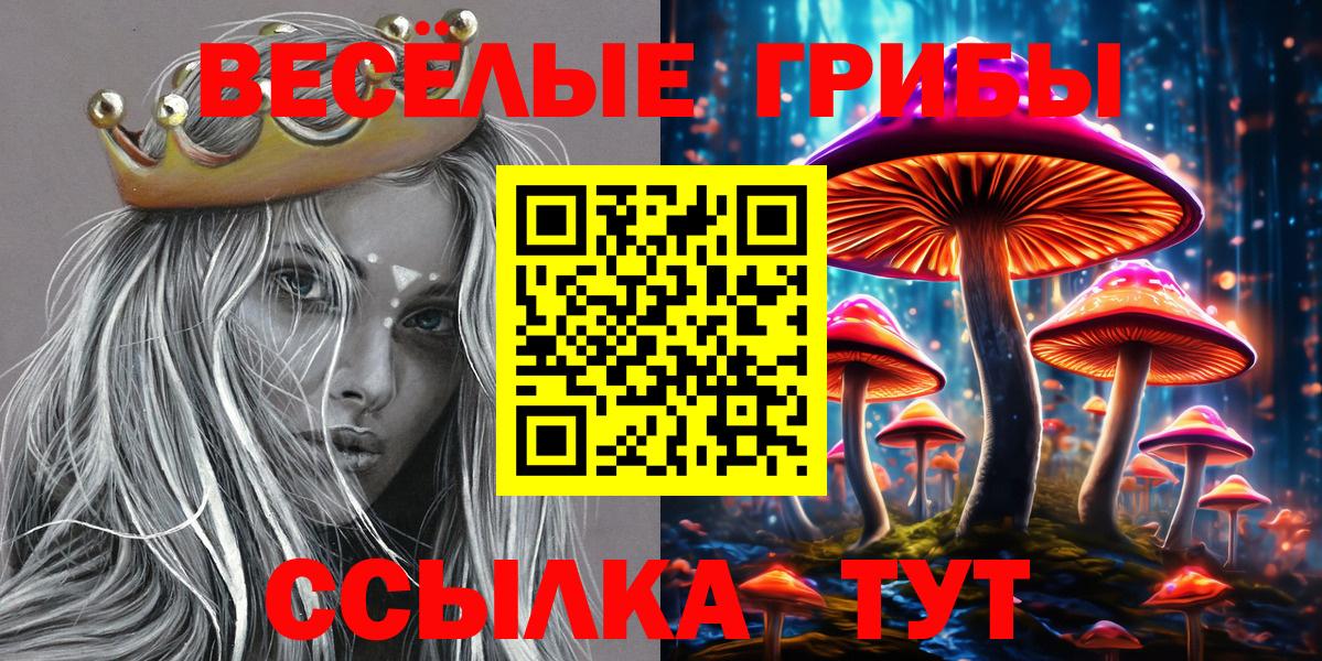 Псилоцибиновые грибы мухоморы Шахты
